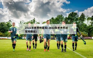 2022年世界杯冠军(2022年世界杯冠军阿根廷)
