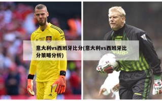 意大利vs西班牙比分(意大利vs西班牙比分策略分析)