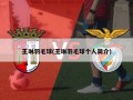 王琳羽毛球(王琳羽毛球个人简介)