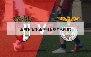 王琳羽毛球(王琳羽毛球个人简介)