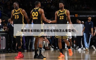 鹰牌羽毛球拍(鹰牌羽毛球拍怎么看型号)