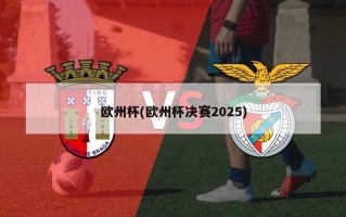 欧州杯(欧州杯决赛2025)