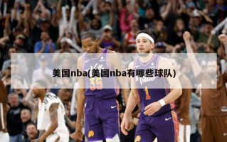 美国nba(美国nba有哪些球队)