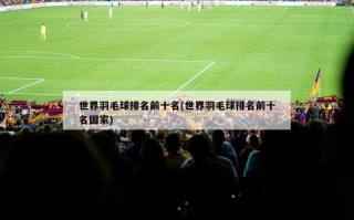 世界羽毛球排名前十名(世界羽毛球排名前十名国家)