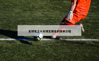 足球史上十大球王排名的简单介绍