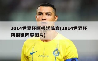 2014世界杯阿根廷阵容(2014世界杯阿根廷阵容图片)