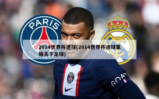 2014世界杯进球(2014世界杯进球集锦天下足球)