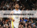 宝安马拉松(宝安马拉松取消了吗现在)