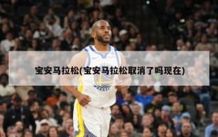 宝安马拉松(宝安马拉松取消了吗现在)