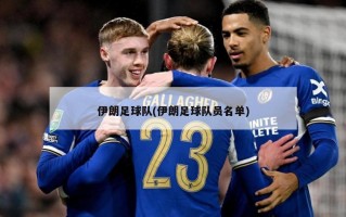 伊朗足球队(伊朗足球队员名单)