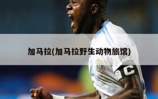 加马拉(加马拉野生动物旅馆)