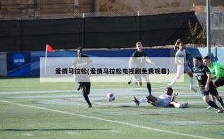 爱情马拉松(爱情马拉松电视剧免费观看)