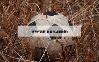 世界杯战报(世界杯战报最新)