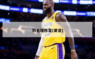 羽毛球陈龙(谌龙)