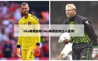 nba弗朗西斯(nba弗朗西斯过人集锦)