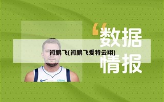 闫鹏飞(闫鹏飞爱特云翔)