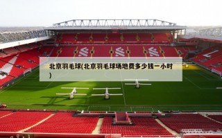 北京羽毛球(北京羽毛球场地费多少钱一小时)