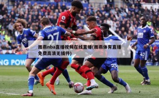雨燕nba直播视频在线直播(雨燕体育直播免费高清无插件)
