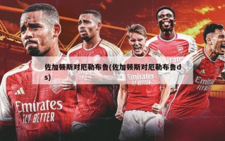 佐加顿斯对厄勒布鲁(佐加顿斯对厄勒布鲁ds)