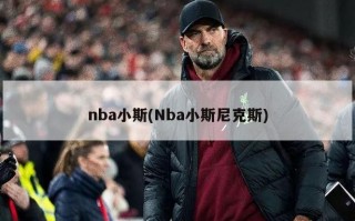 nba小斯(Nba小斯尼克斯)