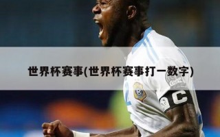 世界杯赛事(世界杯赛事打一数字)