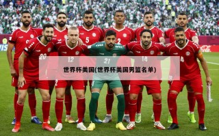 世界杯美国(世界杯美国男篮名单)