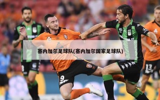 塞内加尔足球队(塞内加尔国家足球队)