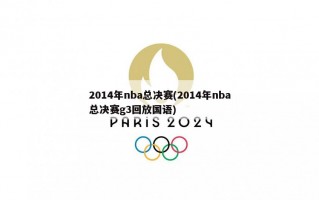 2014年nba总决赛(2014年nba总决赛g3回放国语)