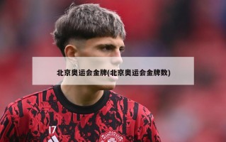 北京奥运会金牌(北京奥运会金牌数)