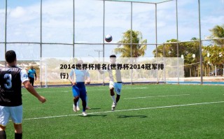 2014世界杯排名(世界杯2014冠军排行)