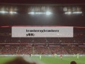 brandonroy(brandonroy球员)