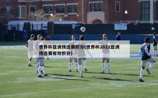世界杯亚洲预选赛积分(世界杯2022亚洲预选赛有效积分)