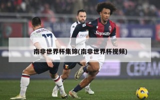南非世界杯集锦(南非世界杯视频)