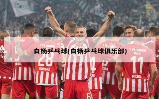 白杨乒乓球(白杨乒乓球俱乐部)