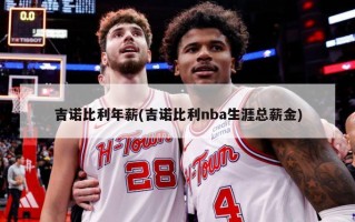 吉诺比利年薪(吉诺比利nba生涯总薪金)