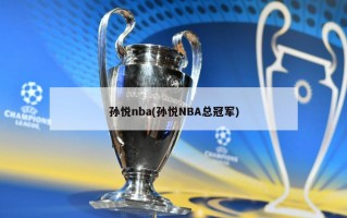孙悦nba(孙悦NBA总冠军)