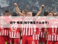 钱宁-弗莱(钱宁弗莱什么水平)