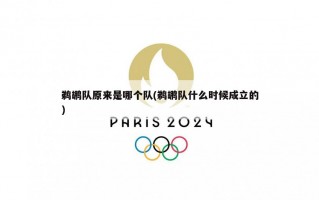 鹈鹕队原来是哪个队(鹈鹕队什么时候成立的)