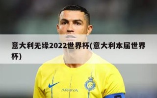 意大利无缘2022世界杯(意大利本届世界杯)