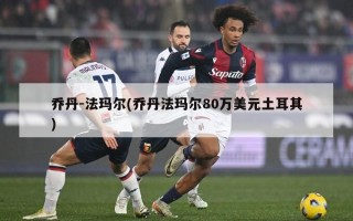 乔丹-法玛尔(乔丹法玛尔80万美元土耳其)