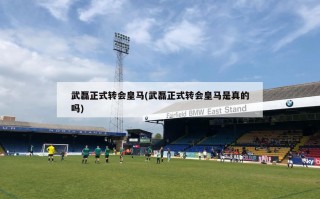 武磊正式转会皇马(武磊正式转会皇马是真的吗)