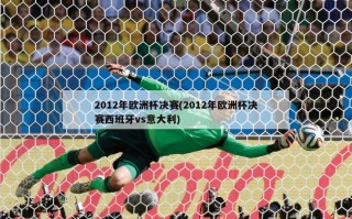 2012年欧洲杯决赛(2012年欧洲杯决赛西班牙vs意大利)