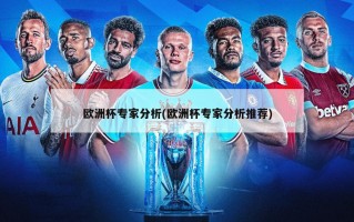 欧洲杯专家分析(欧洲杯专家分析推荐)