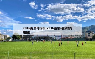 2016南京马拉松(2016南京马拉松跑错路)