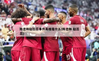 陈忠和赵蕊蕊事件真相是什么(陈忠和 赵蕊蕊)