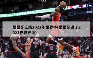 葡萄牙无缘2022年世界杯(葡萄牙进了2022世界杯没)