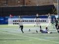 米亚尔比vs哈马比(米亚尔比vs马尔默比分预测)