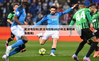 武汉马拉松(武汉马拉松2025年比赛时间及路线)