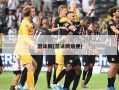 游泳网(游泳网络梗)