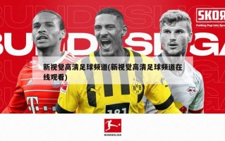 新视觉高清足球频道(新视觉高清足球频道在线观看)